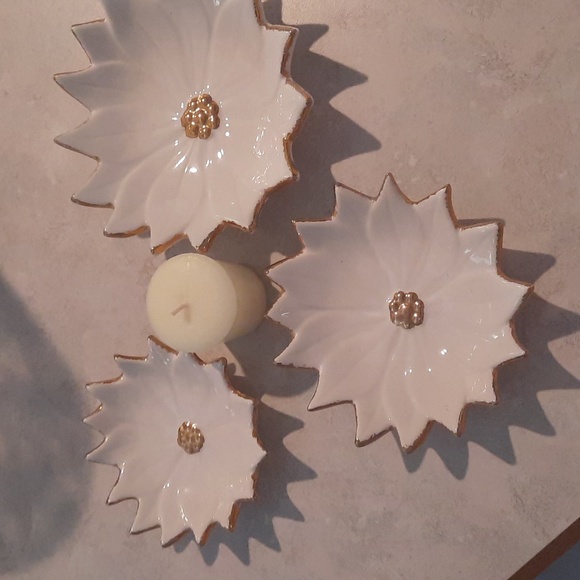 Nesting  Poinsettia - Picture 1 of 3